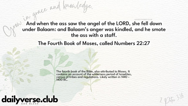 Bible Verse Wallpaper 22:27 from The Fourth Book of Moses, called Numbers