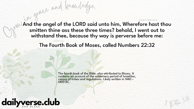 Bible Verse Wallpaper 22:32 from The Fourth Book of Moses, called Numbers