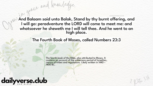 Bible Verse Wallpaper 23:3 from The Fourth Book of Moses, called Numbers