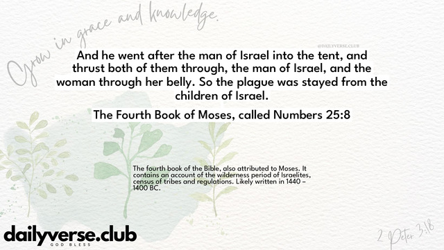 Bible Verse Wallpaper 25:8 from The Fourth Book of Moses, called Numbers