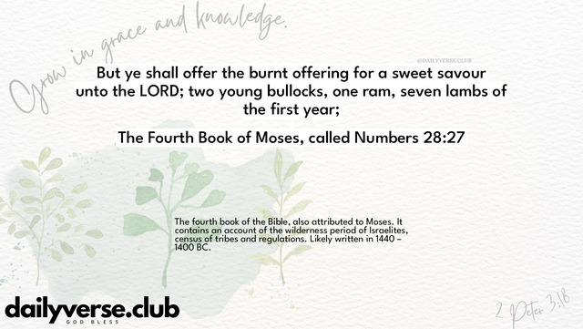 Bible Verse Wallpaper 28:27 from The Fourth Book of Moses, called Numbers