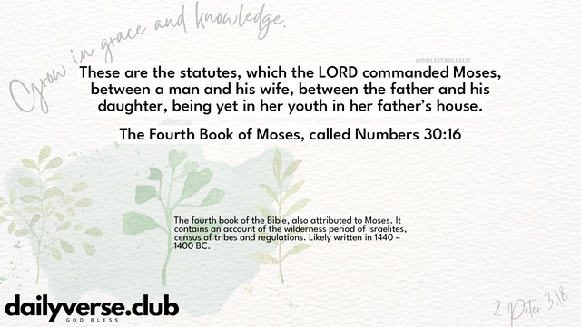 Bible Verse Wallpaper 30:16 from The Fourth Book of Moses, called Numbers