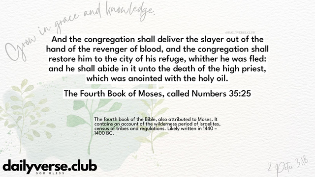 Bible Verse Wallpaper 35:25 from The Fourth Book of Moses, called Numbers