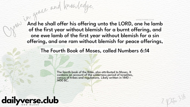 Bible Verse Wallpaper 6:14 from The Fourth Book of Moses, called Numbers