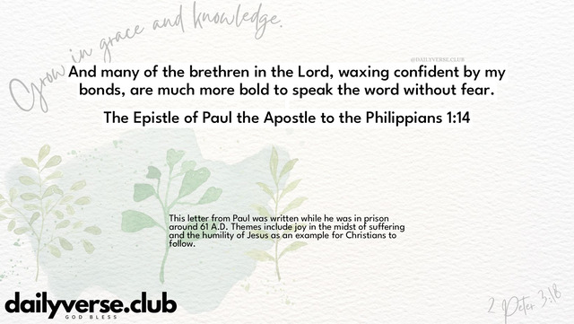 Bible Verse Wallpaper 1:14 from The Epistle of Paul the Apostle to the Philippians