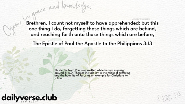 Bible Verse Wallpaper 3:13 from The Epistle of Paul the Apostle to the Philippians