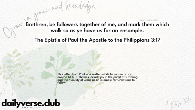 Bible Verse Wallpaper 3:17 from The Epistle of Paul the Apostle to the Philippians