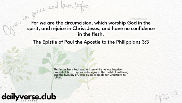 Bible Verse Wallpaper 3:3 from The Epistle of Paul the Apostle to the Philippians