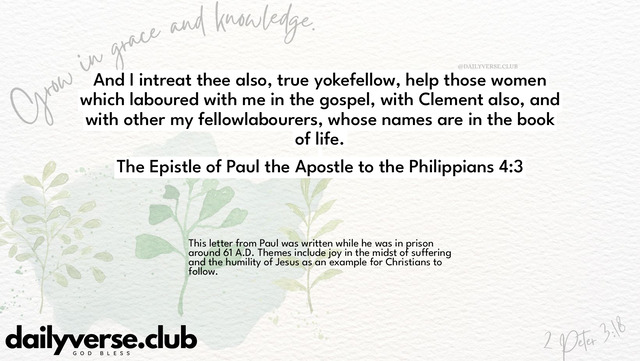 Bible Verse Wallpaper 4:3 from The Epistle of Paul the Apostle to the Philippians
