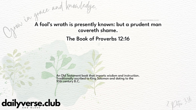 Bible Verse Wallpaper 12:16 from The Book of Proverbs