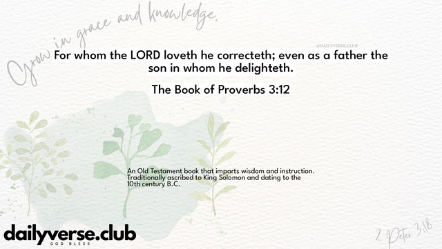 Bible Verse Wallpaper 3:12 from The Book of Proverbs