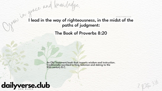 Bible Verse Wallpaper 8:20 from The Book of Proverbs