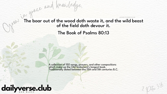 Bible Verse Wallpaper 80:13 from The Book of Psalms
