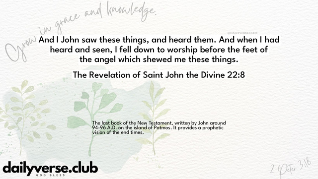 Bible Verse Wallpaper 22:8 from The Revelation of Saint John the Divine