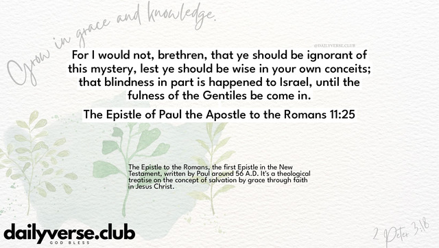 Bible Verse Wallpaper 11:25 from The Epistle of Paul the Apostle to the Romans