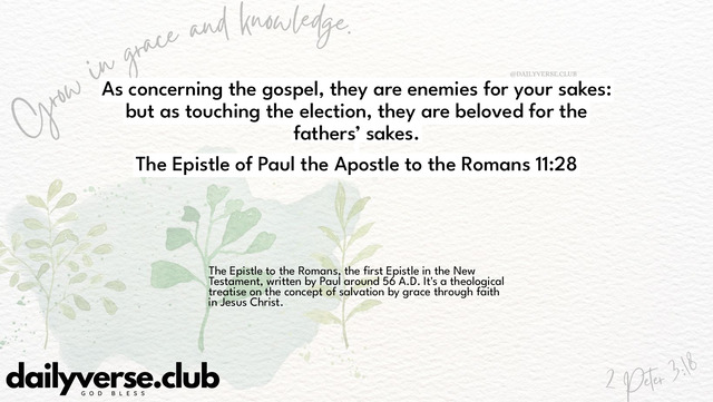 Bible Verse Wallpaper 11:28 from The Epistle of Paul the Apostle to the Romans
