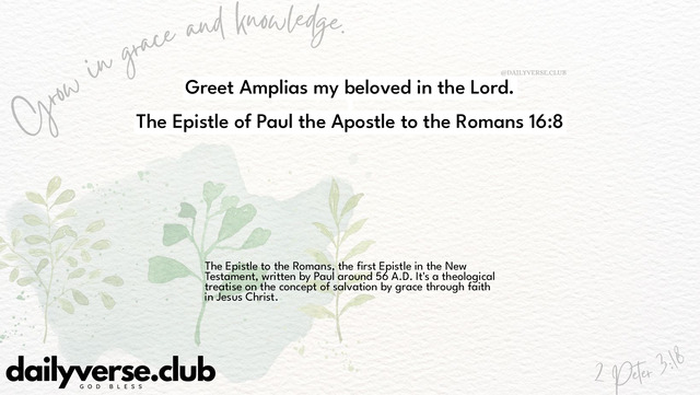 Bible Verse Wallpaper 16:8 from The Epistle of Paul the Apostle to the Romans