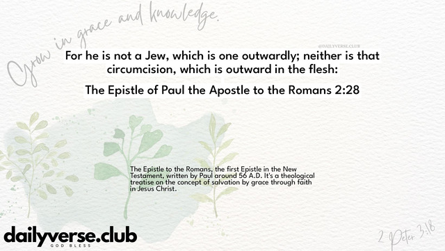 Bible Verse Wallpaper 2:28 from The Epistle of Paul the Apostle to the Romans