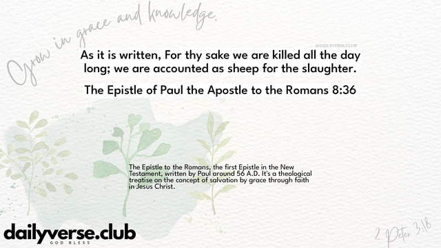 Bible Verse Wallpaper 8:36 from The Epistle of Paul the Apostle to the Romans