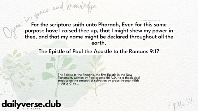 Bible Verse Wallpaper 9:17 from The Epistle of Paul the Apostle to the Romans