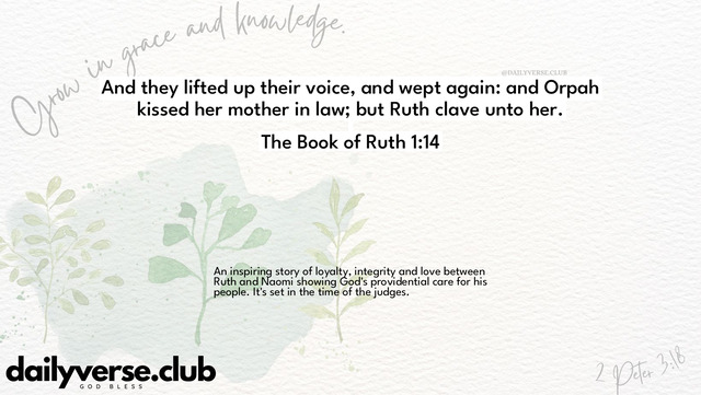 Bible Verse Wallpaper 1:14 from The Book of Ruth