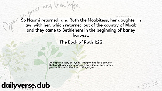 Bible Verse Wallpaper 1:22 from The Book of Ruth