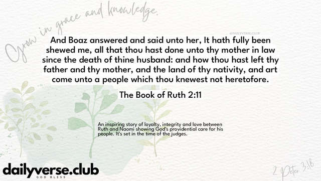 Bible Verse Wallpaper 2:11 from The Book of Ruth