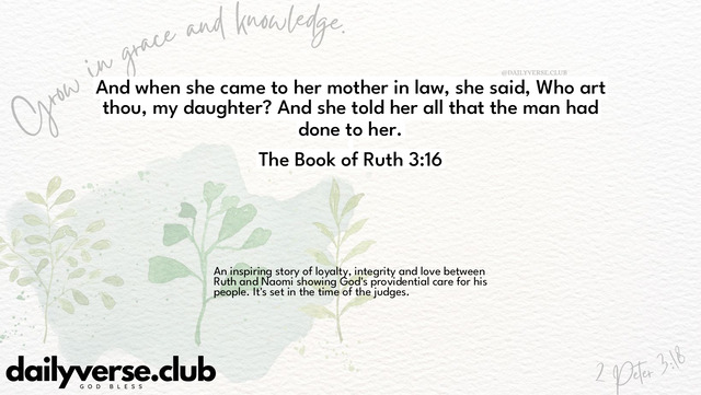 Bible Verse Wallpaper 3:16 from The Book of Ruth