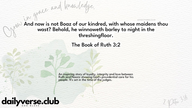 Bible Verse Wallpaper 3:2 from The Book of Ruth
