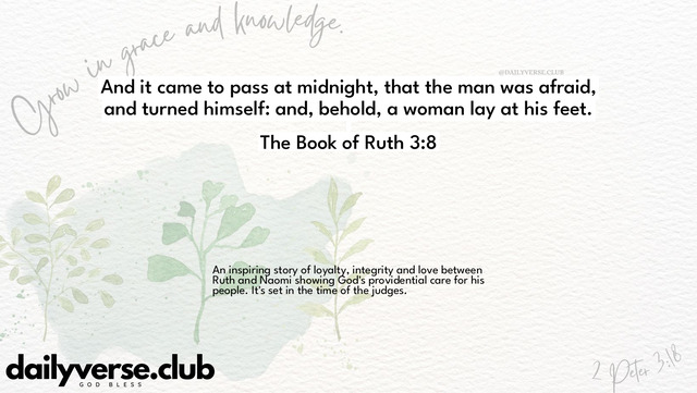 Bible Verse Wallpaper 3:8 from The Book of Ruth