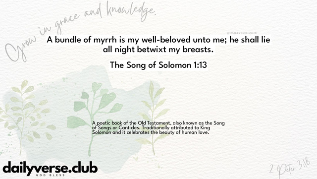 Bible Verse Wallpaper 1:13 from The Song of Solomon