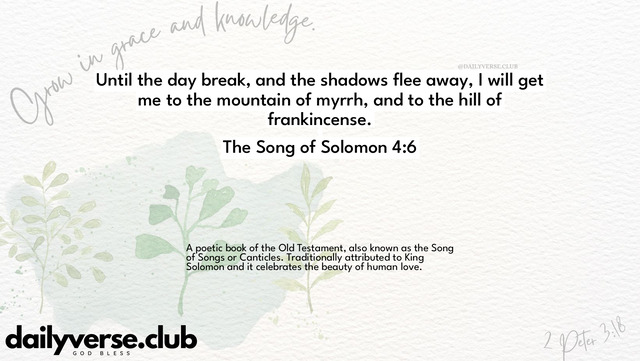 Bible Verse Wallpaper 4:6 from The Song of Solomon