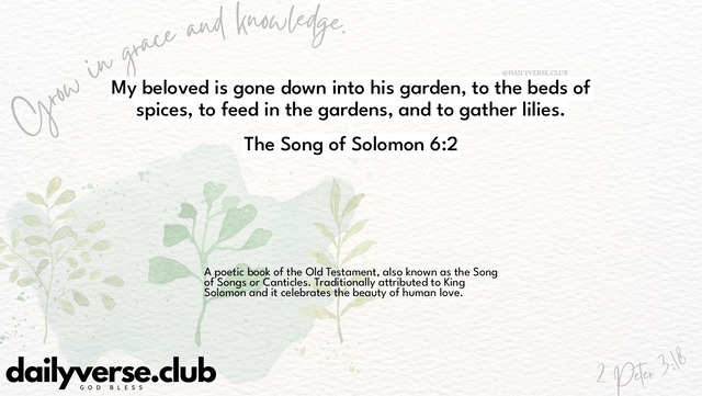 Bible Verse Wallpaper 6:2 from The Song of Solomon