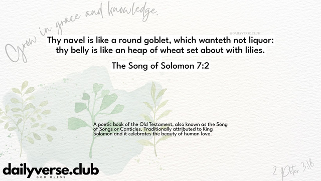 Bible Verse Wallpaper 7:2 from The Song of Solomon