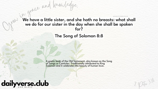 Bible Verse Wallpaper 8:8 from The Song of Solomon