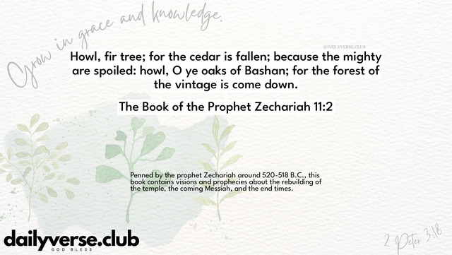 Bible Verse Wallpaper 11:2 from The Book of the Prophet Zechariah
