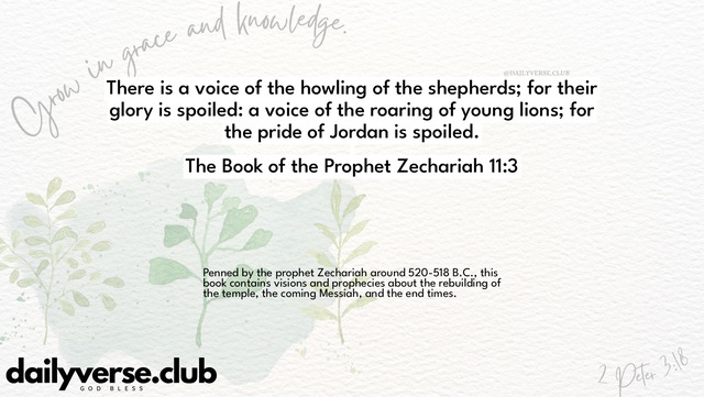 Bible Verse Wallpaper 11:3 from The Book of the Prophet Zechariah