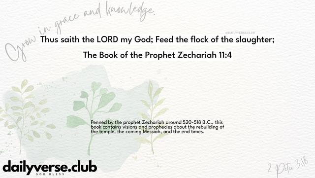 Bible Verse Wallpaper 11:4 from The Book of the Prophet Zechariah