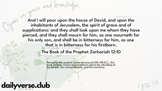 Bible Verse Wallpaper 12:10 from The Book of the Prophet Zechariah