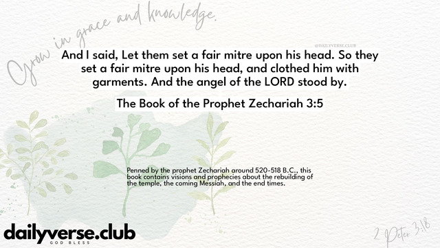 Bible Verse Wallpaper 3:5 from The Book of the Prophet Zechariah