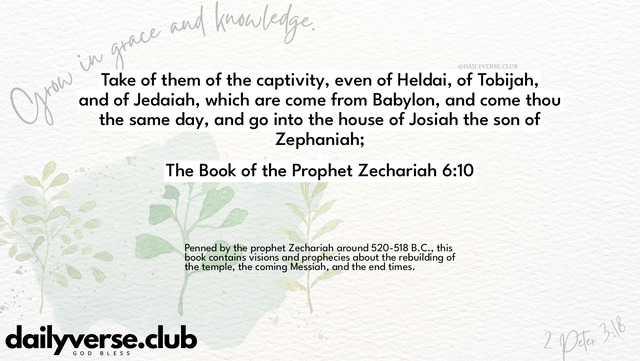 Bible Verse Wallpaper 6:10 from The Book of the Prophet Zechariah
