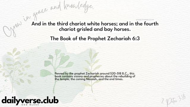 Bible Verse Wallpaper 6:3 from The Book of the Prophet Zechariah