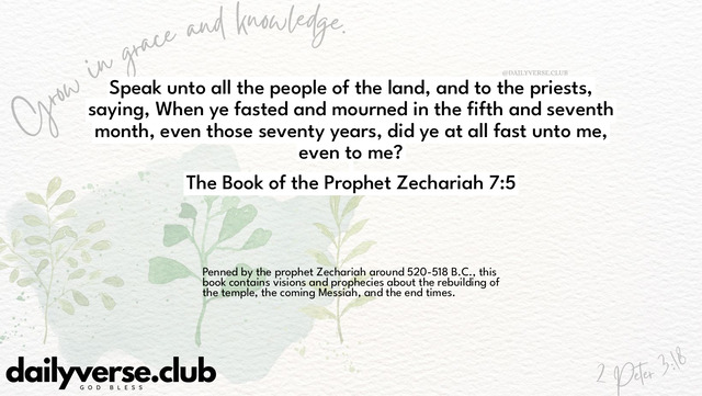 Bible Verse Wallpaper 7:5 from The Book of the Prophet Zechariah