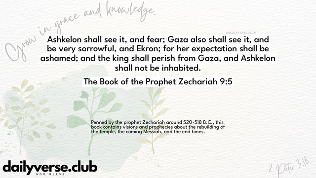 Bible Verse Wallpaper 9:5 from The Book of the Prophet Zechariah